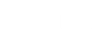 VSCHNEL